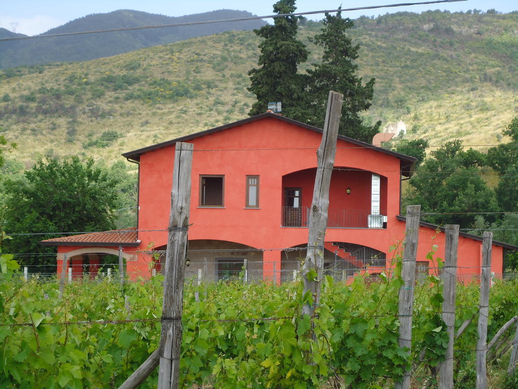 Agrituirsmo Masseria Campierti Falciano del Massico Luaran gambar